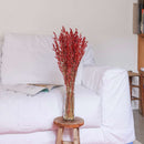 avoine-seche-rouge-flowrette