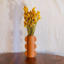 Avvio di Safran Phalaris