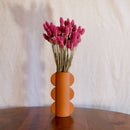 Stivale phalaris rosa scuro