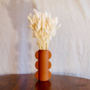 Avvio di Lagurus bianco