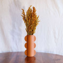 Avvio di avena arancione