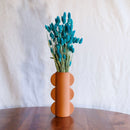 Benzina di avvio blu Phalaris