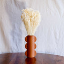 Avvio di scopa bianca