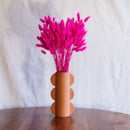 Avvio di Lagurus fucsia