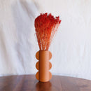 Avvio di scopa rossa