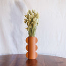 Avvio Phalaris naturale