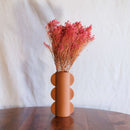 Broom Broom Bloom Rose