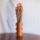 Avvio rosa delfinium