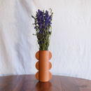 Avvio blu Delphinium