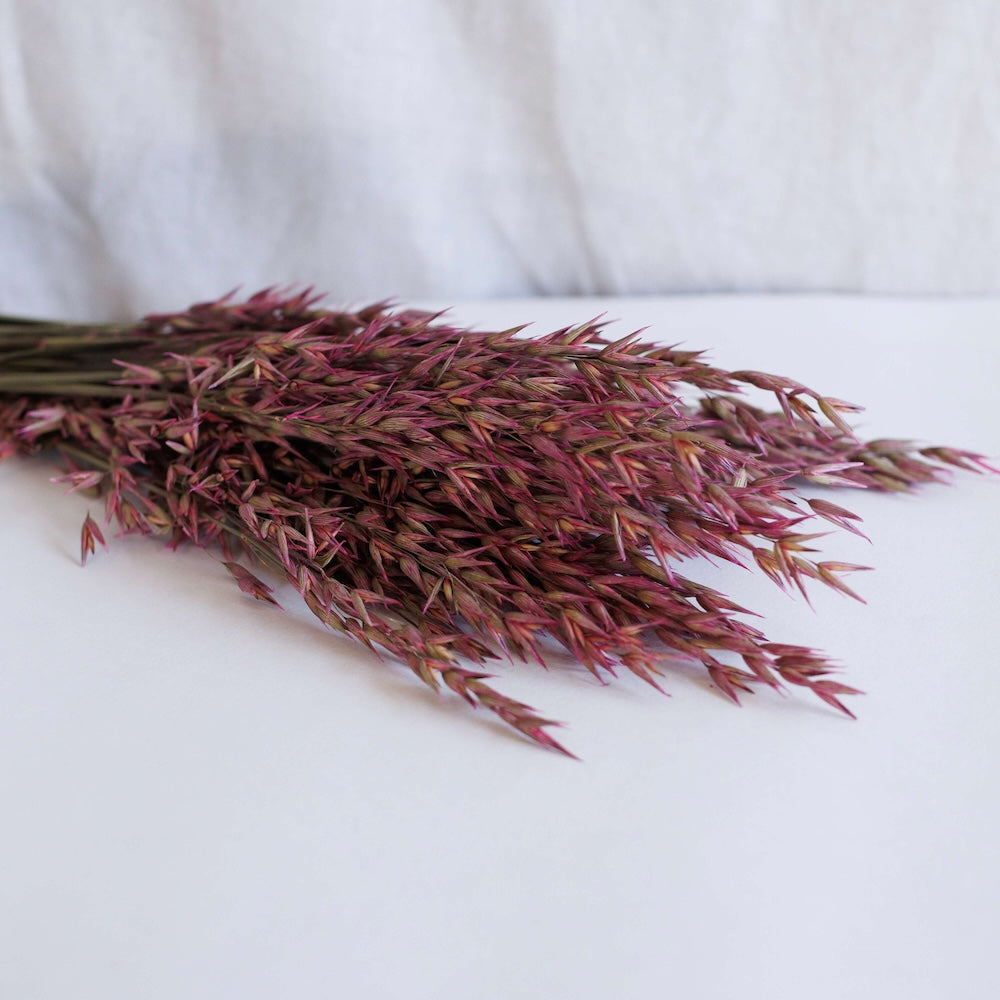 Stivale di avena rosa scuro