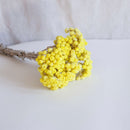 Stivale immortale giallo