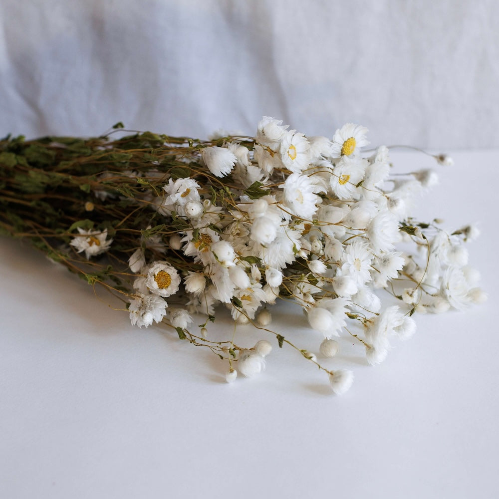 Stivale di roding bianco