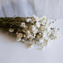 Stivale di roding bianco