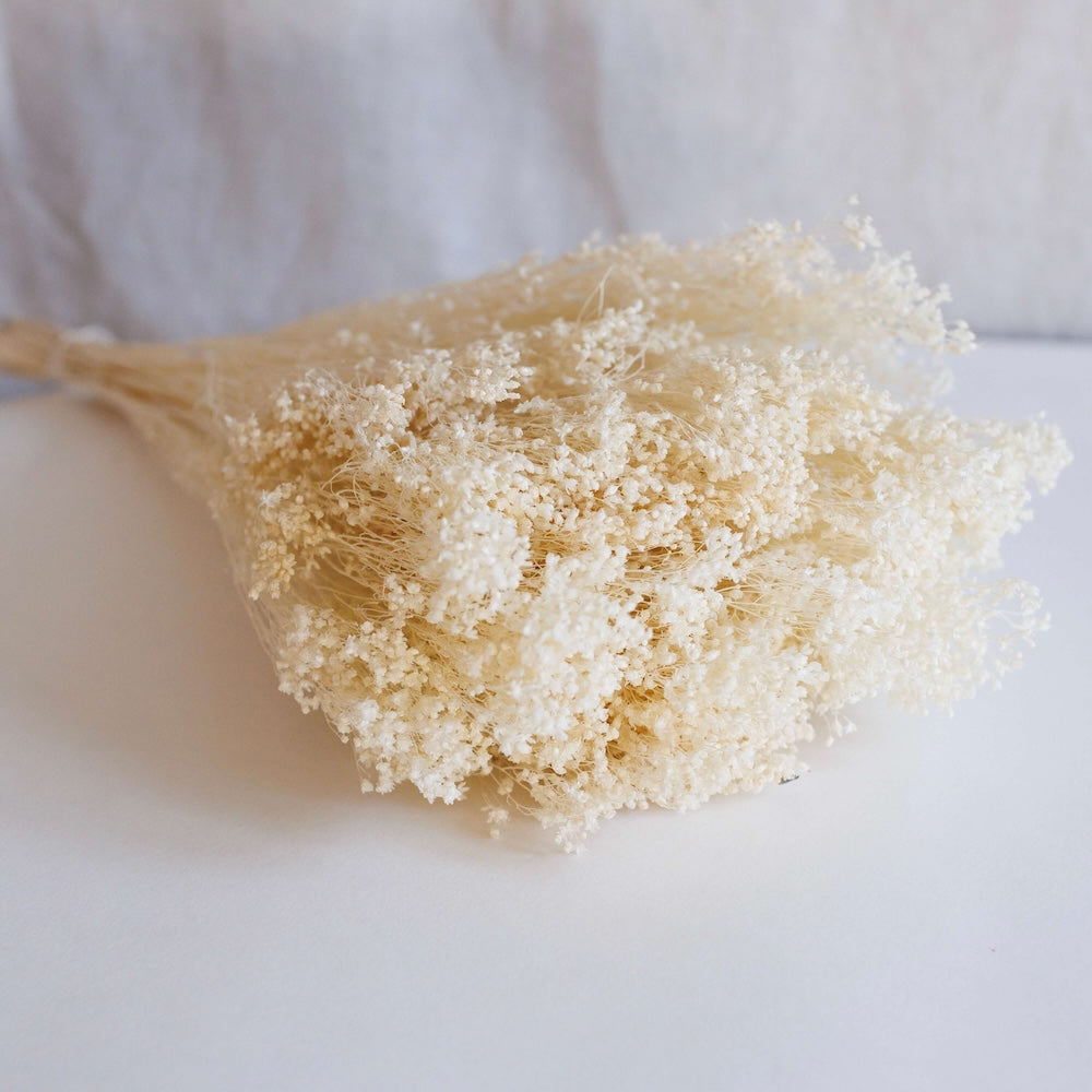 Avvio di scopa bianca