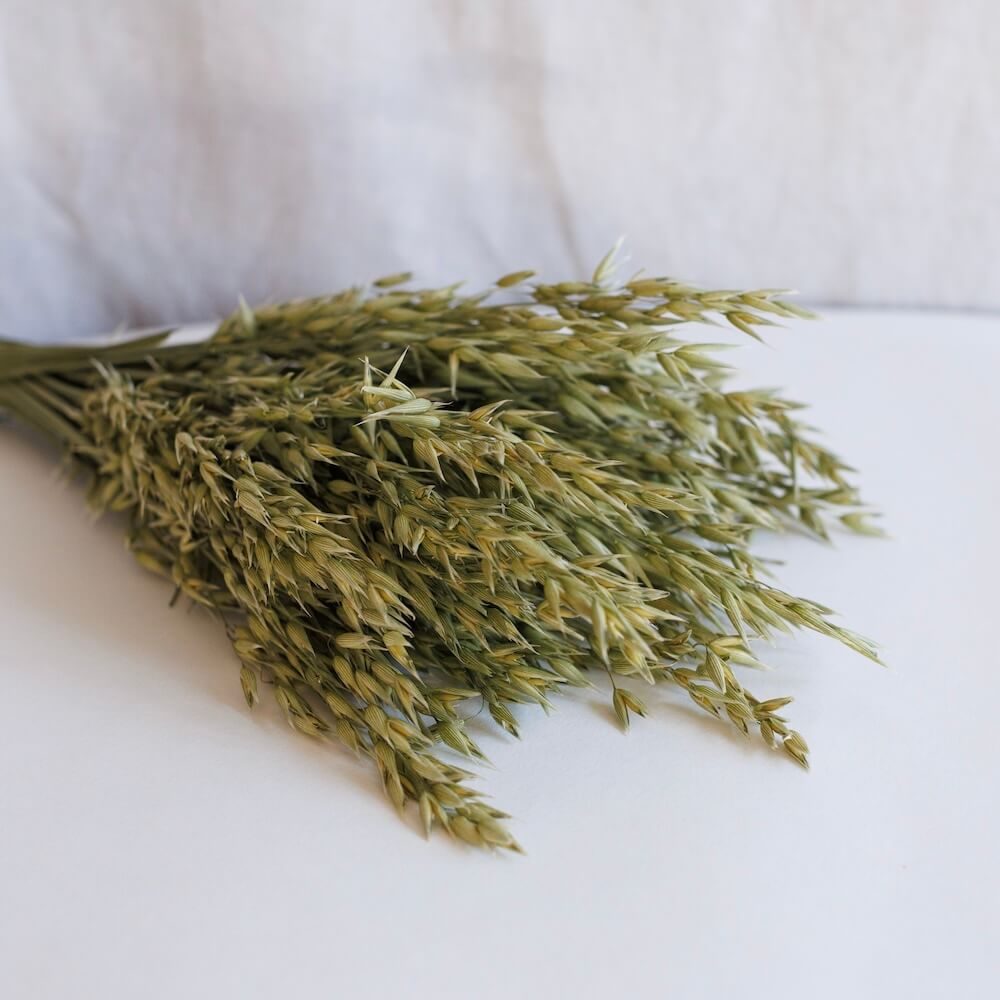 Stivale di avena verde naturale