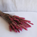 Stivale di grano rosa