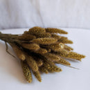 Avvio naturale di mare