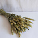 Stivale di grano verde