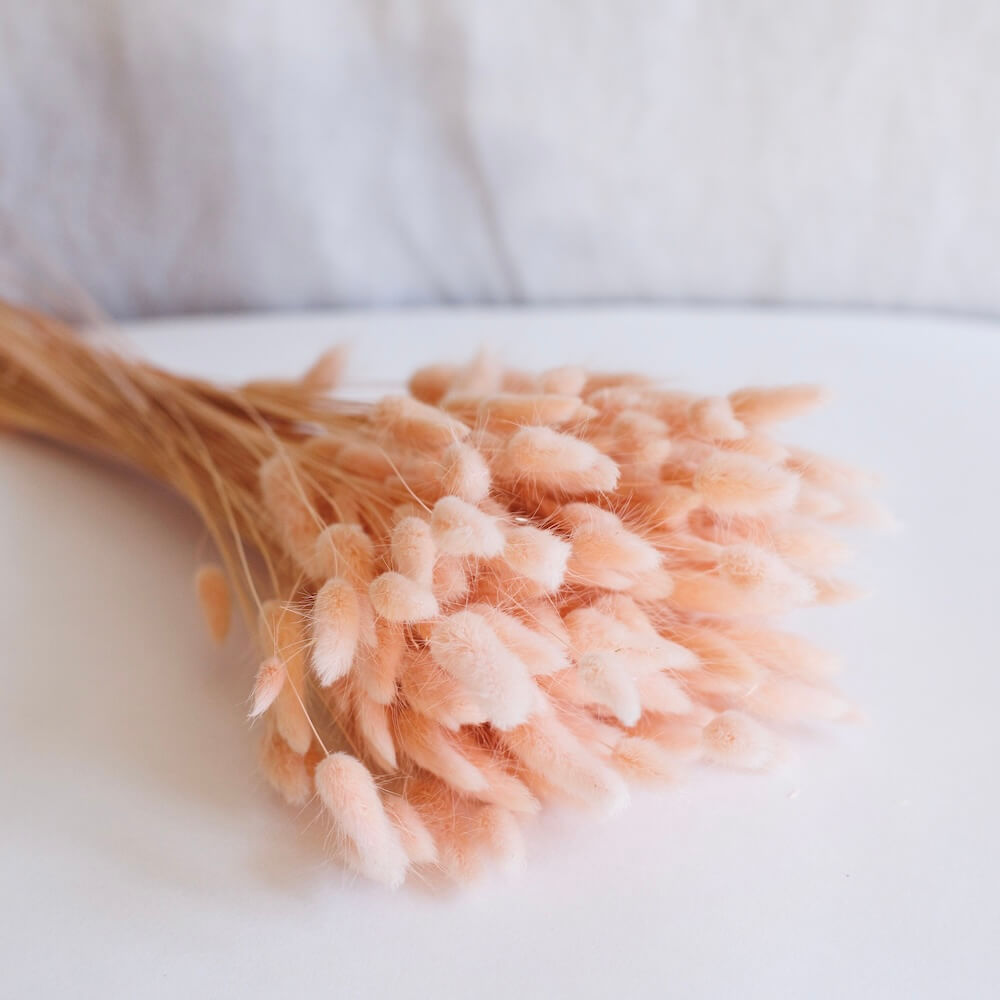 Stivale Lagurus Pink Pastel