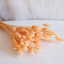 Lagurus Fishing Boot