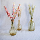 Avvio rosa delfinium