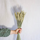 Stivale di grano verde