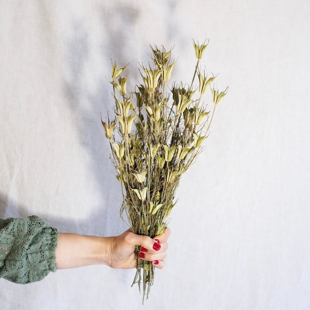 Avvio naturale naturale naturale