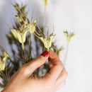 Avvio naturale naturale naturale