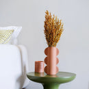 Avvio di avena arancione