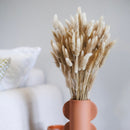 Stivale Lagurus secco naturale