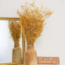 botte-limonium-jaune