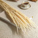 bottes-fleurs-sechees-flowrette-coloree-gramine-blanc