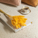 bottes-fleurs-sechees-flowrette-coloree-lagurus-jaune-clair