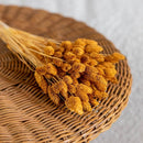 bottes-fleurs-sechees-flowrette-coloree-phalaris-ocres