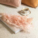 bottes-fleurs-sechees-flowrette-coloree-ruscus-rose-clair