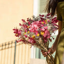bouquet-fleurs-sechees-collection-ete-flowrette-sud