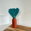 Botte fleurs séchées Broom bloom Turquoise