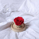 rose-sous-cloche