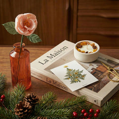 Scatola natalizia vitaminica