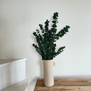 Botte fleurs séchées Eucalyptus Stuartiana Vert