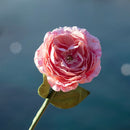 fleur-papier-flowrette-camelia-colore-rose