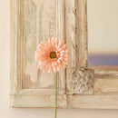 fleur-papier-flowrette-gerbera-corail