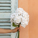fleur-papier-flowrette-hortensia-blanc-intense