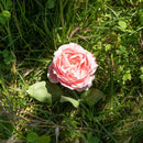 fleur-papier-flowrette-camelia-colore-rose