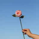 fleur-papier-flowrette-pivoine-jardin-couleur-peche