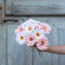 fleur-papier-flowrette-design-gerbera-blanc