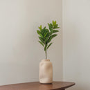 Ruscus artificiale verde