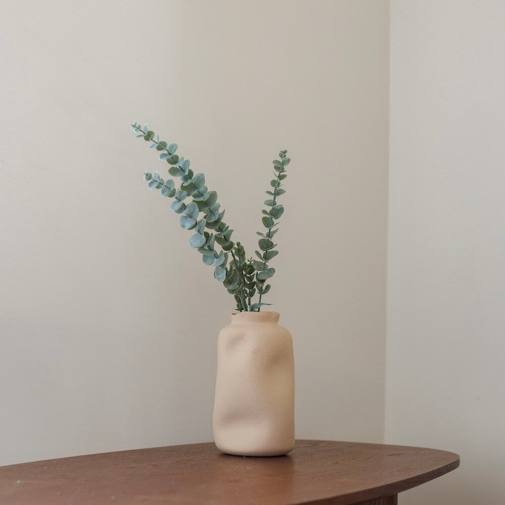 Eucalipto bambino verde