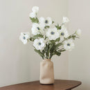 Anemone bianco