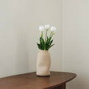 Avvio di tulipani bianchi